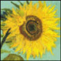 Thumbnail cross stitch pattern sunflower by Vincent Van Gogh.pdf